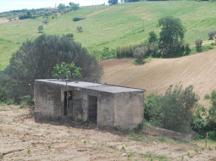 Countryhouse with 3 hectares of vines and seaview