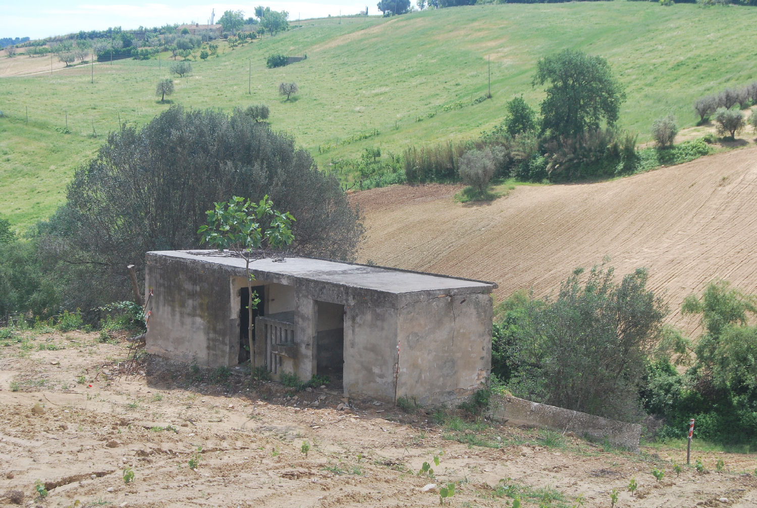 Countryhouse with 3 hectares of vines and seaview