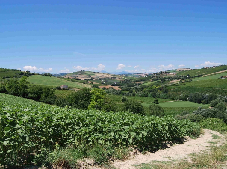 Country house near Montefiore dell'Aso