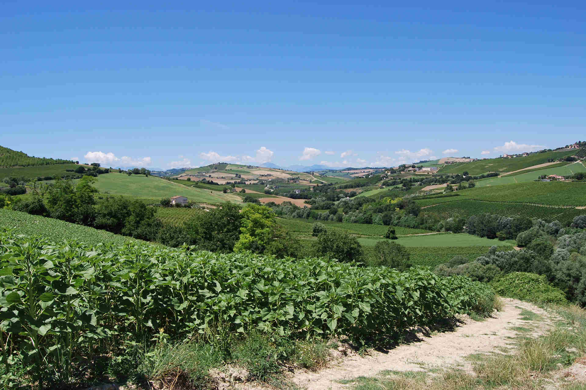 Country house near Montefiore dell'Aso