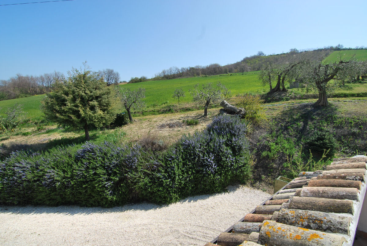 Agriturismo near the Adriatic Coast