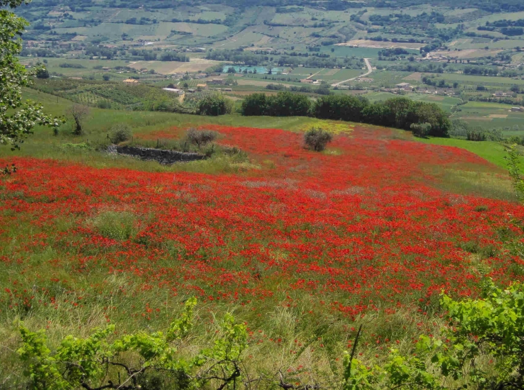 Country house in Monterubbiano with Mountains view