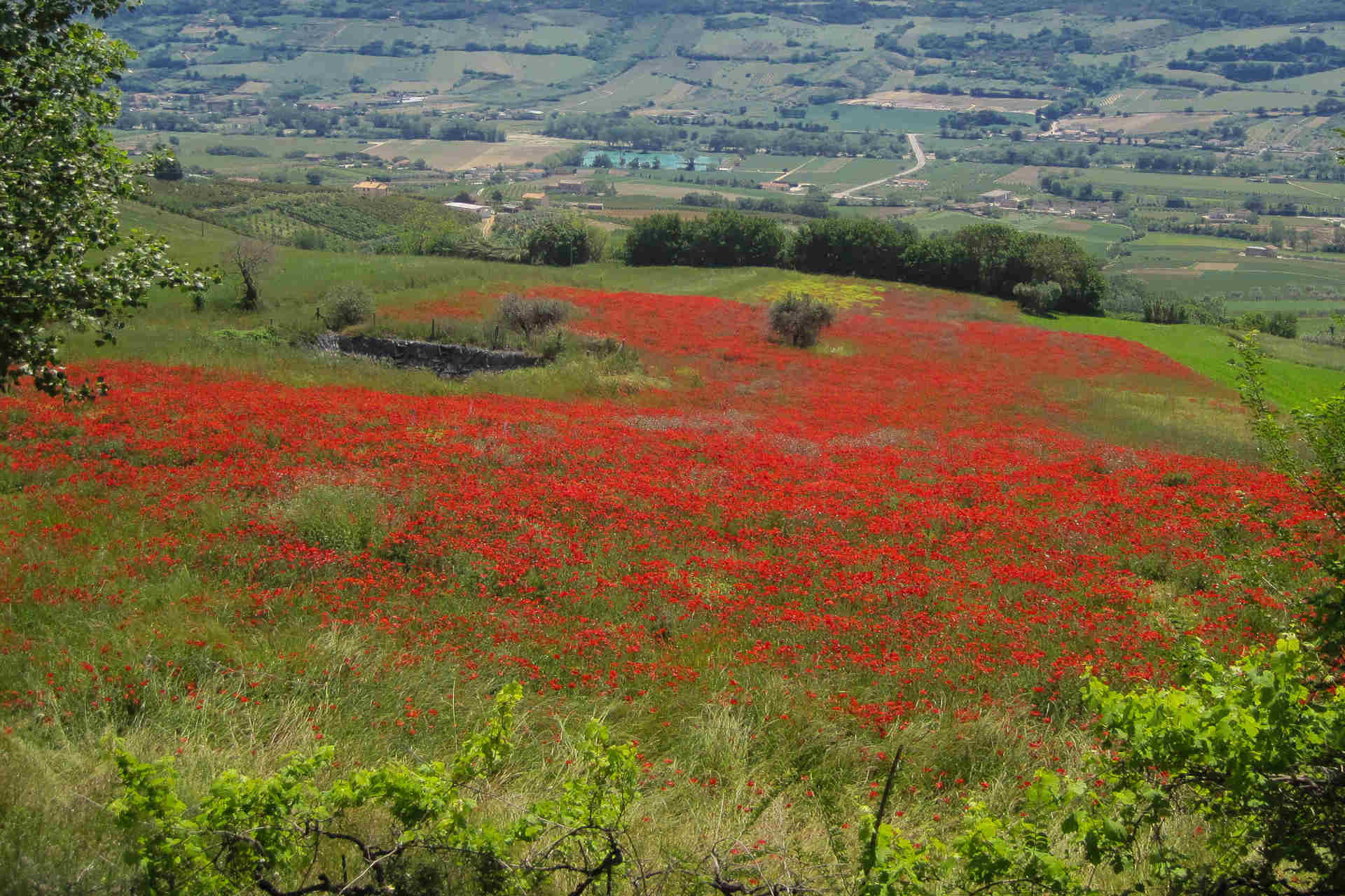 Country house in Monterubbiano with Mountains view