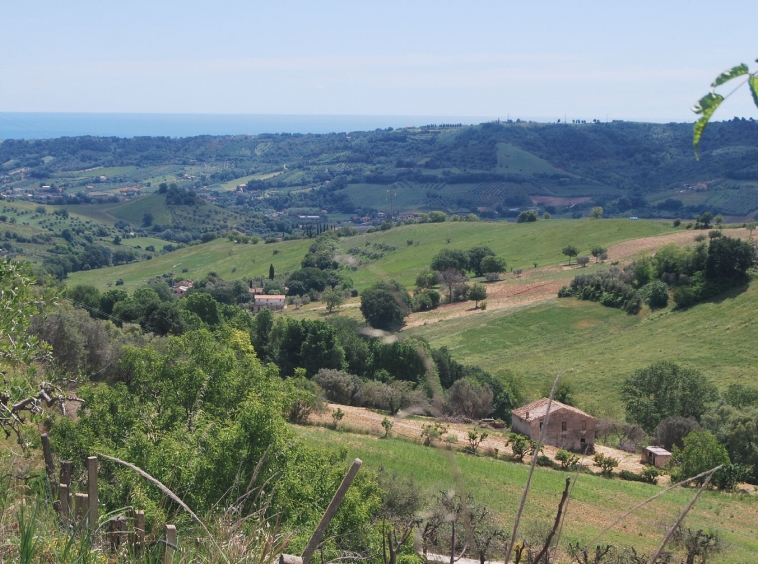 Countryhouse with 3 hectares of vines and seaview