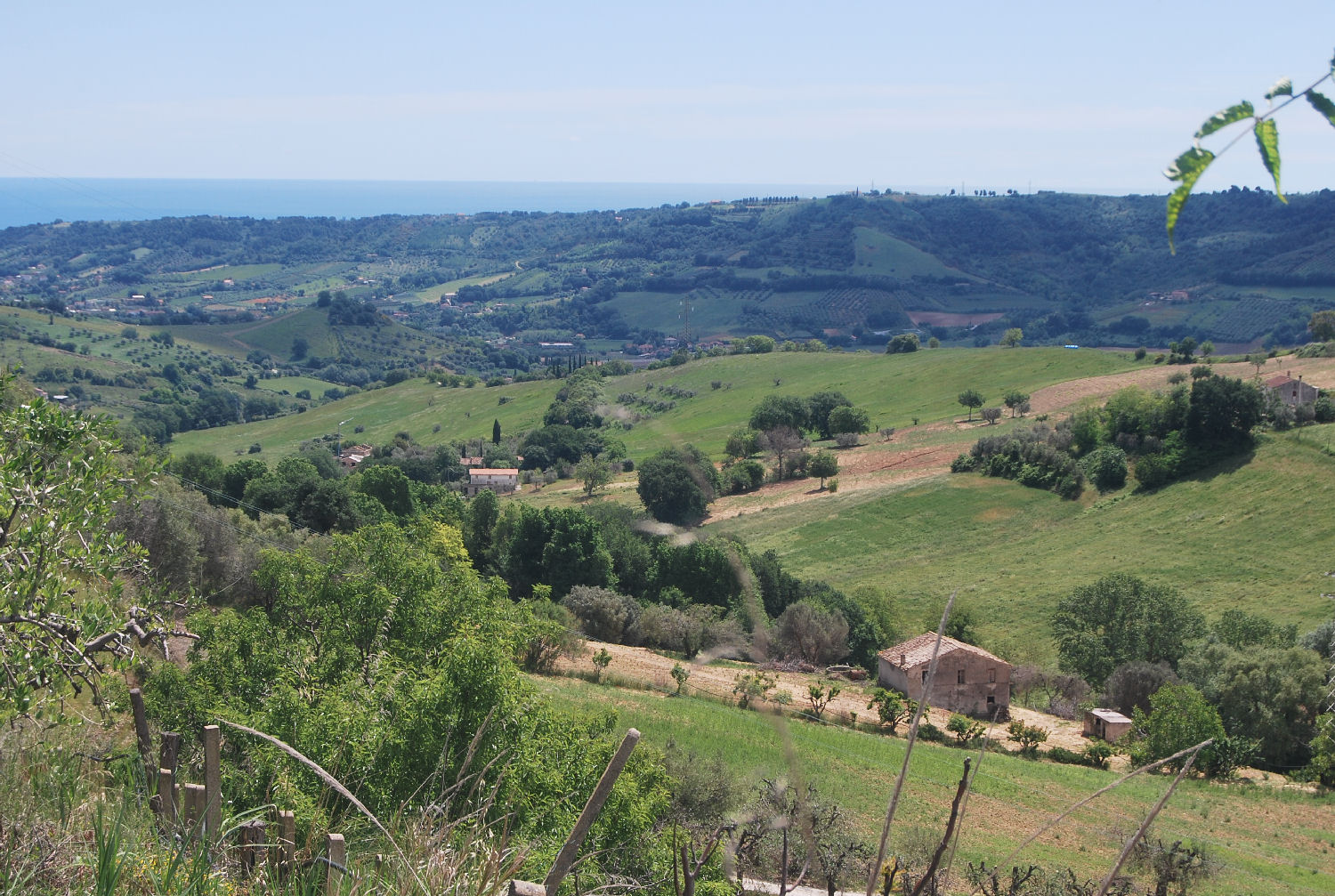 Countryhouse with 3 hectares of vines and seaview