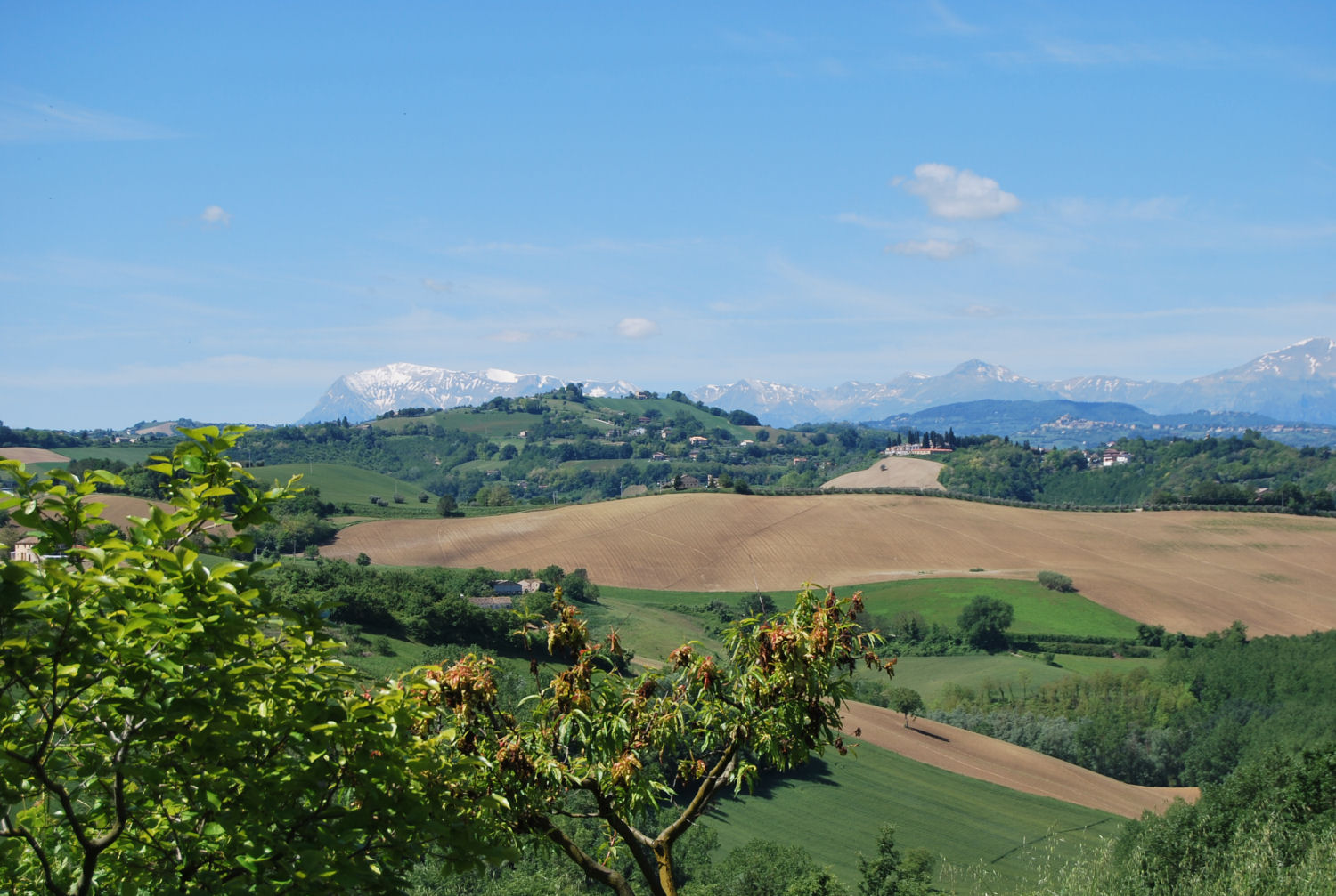 Country house with stunning view