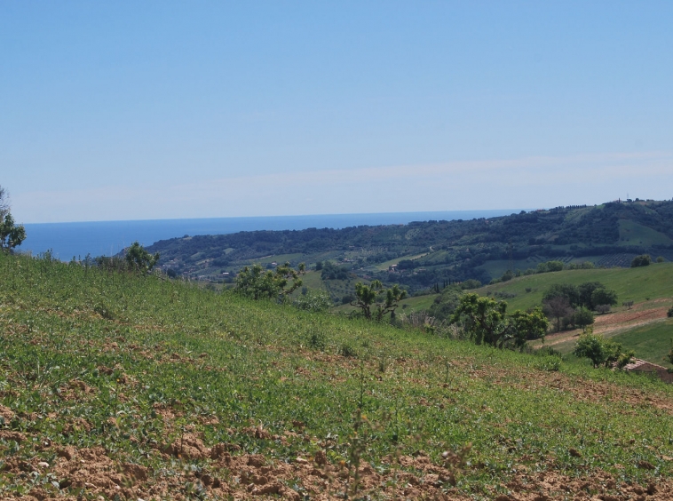 Countryhouse with 3 hectares of vines and seaview