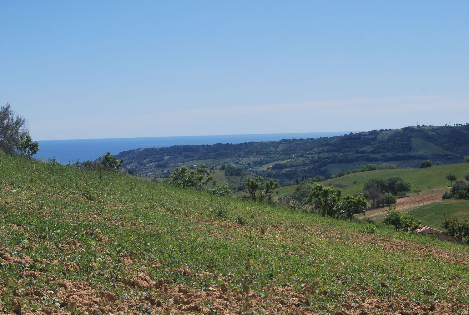 Countryhouse with 3 hectares of vines and seaview