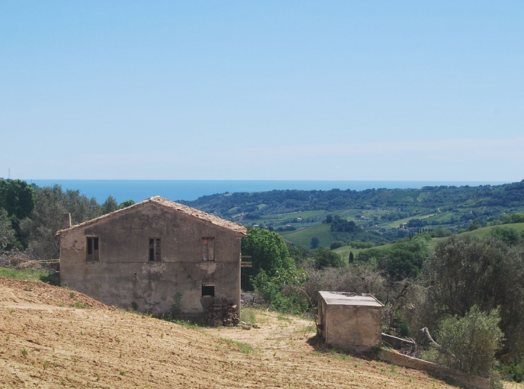 Countryhouse with 3 hectares of vines and seaview