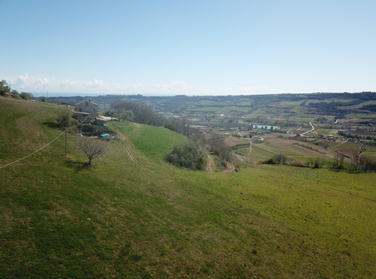 marche property