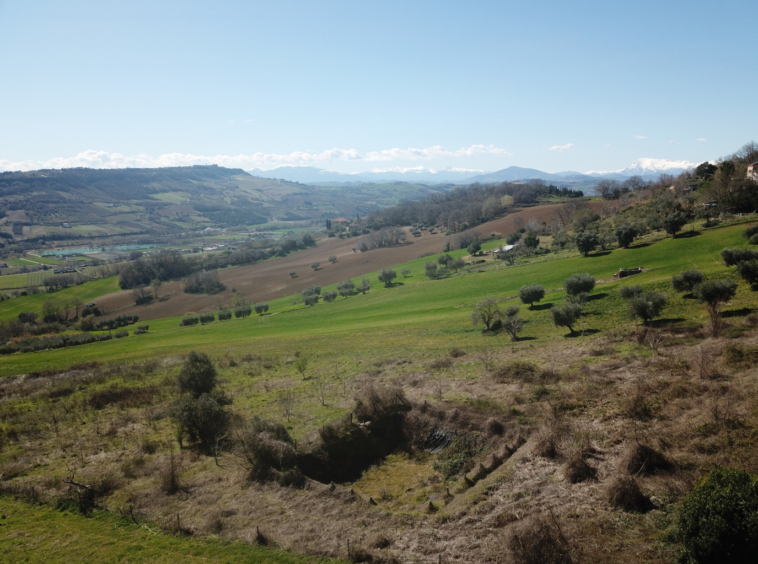 marche property