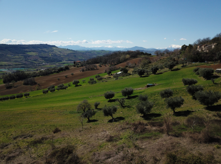 marche property