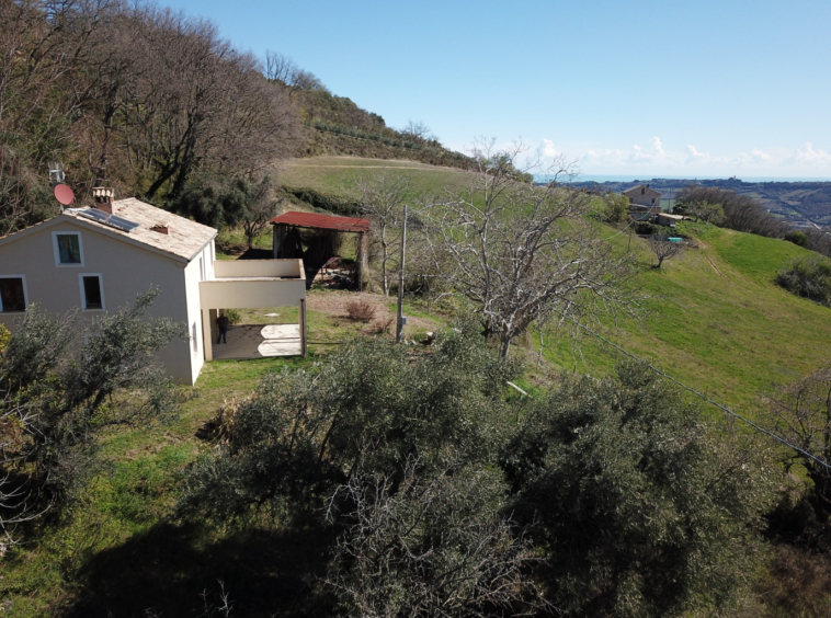 marche property