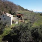 marche property