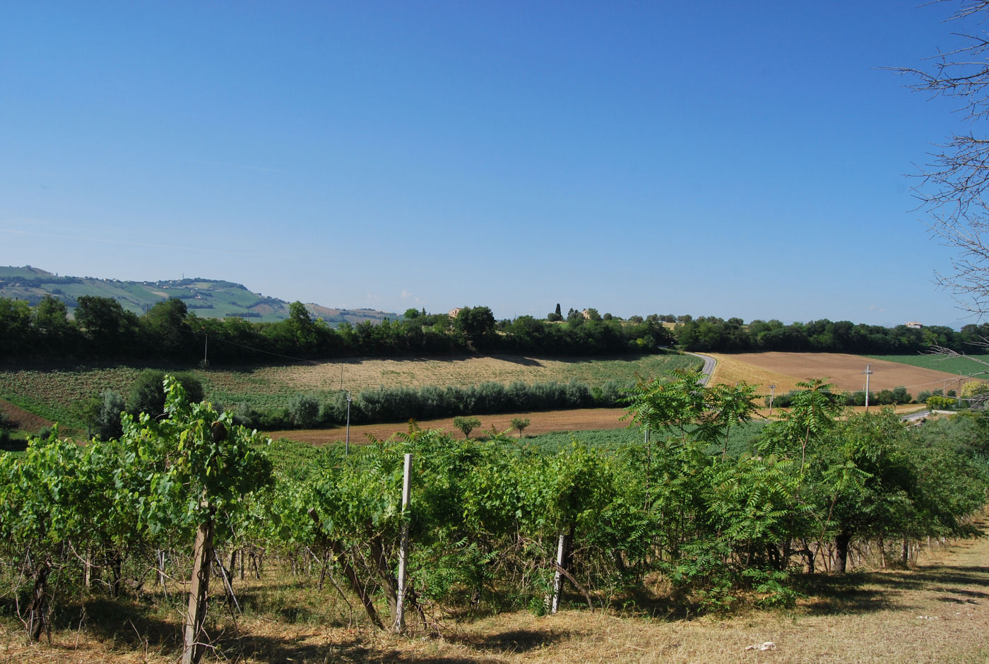 Farmhouse with 6.5 hectares of land