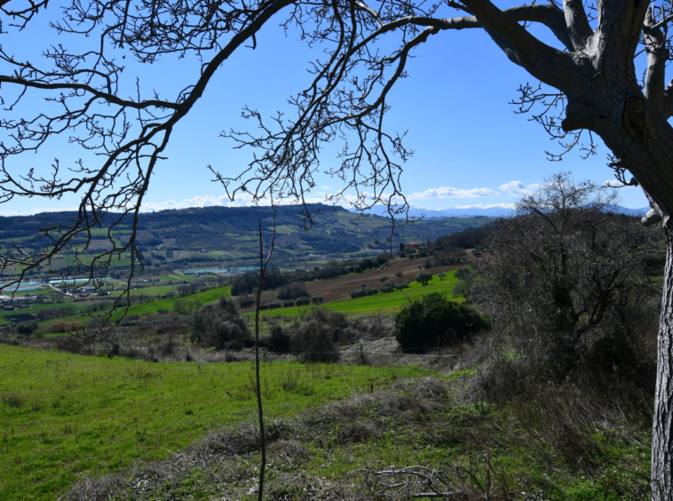 marche property