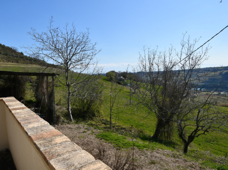 marche property