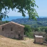 Countryhouse with 3 hectares of vines and seaview