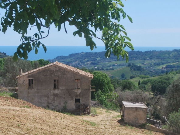 Countryhouse with 3 hectares of vines and seaview