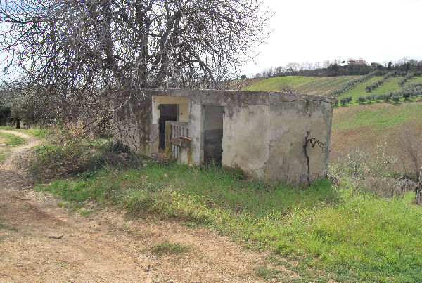 Countryhouse with 3 hectares of vines and seaview