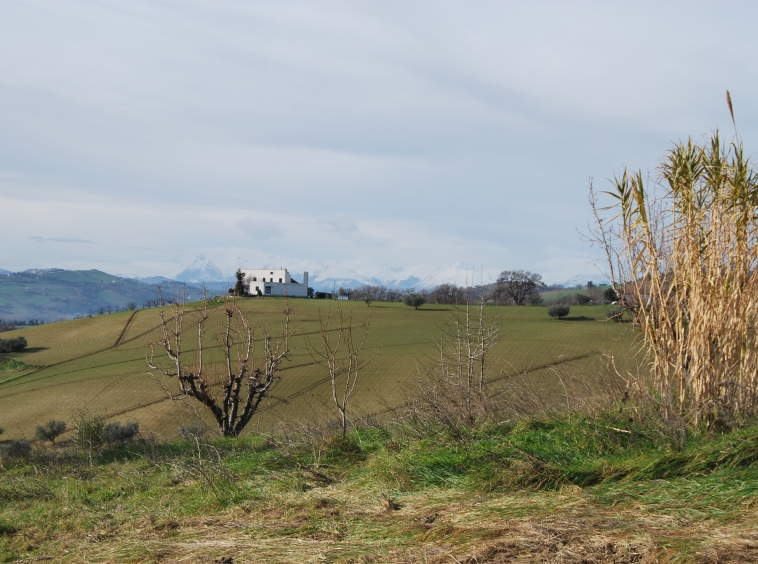 Country house near the Adriatic Coast