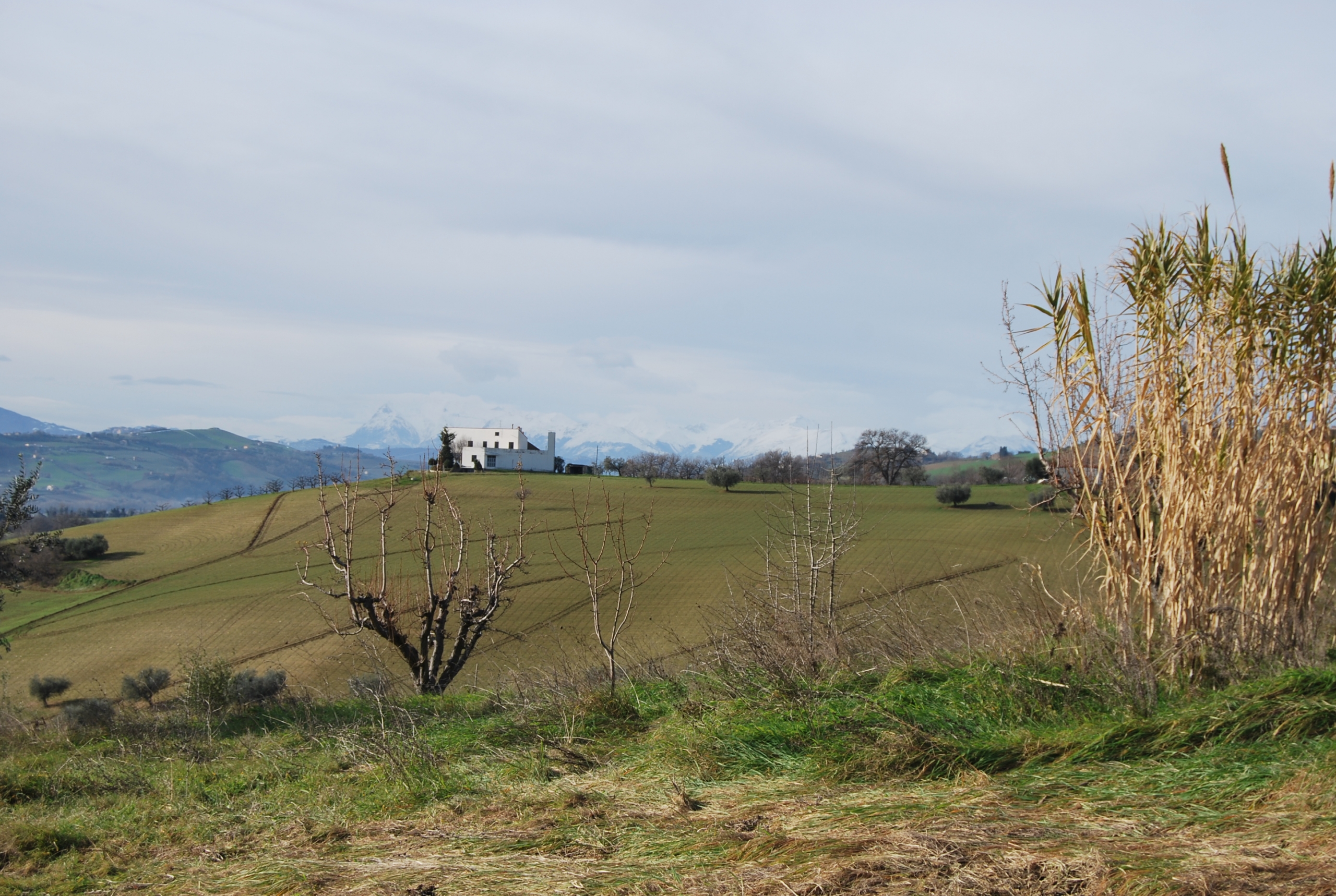 Country house near the Adriatic Coast