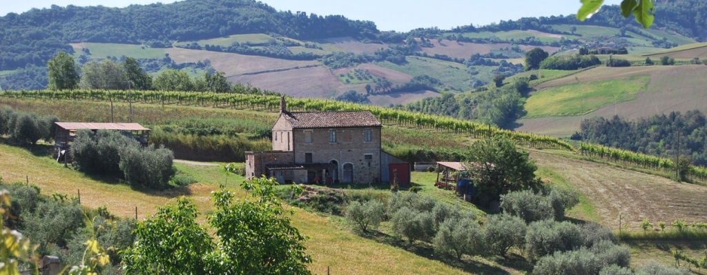 Country house near Ripatransone