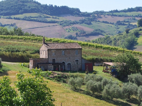 Country house near Ripatransone