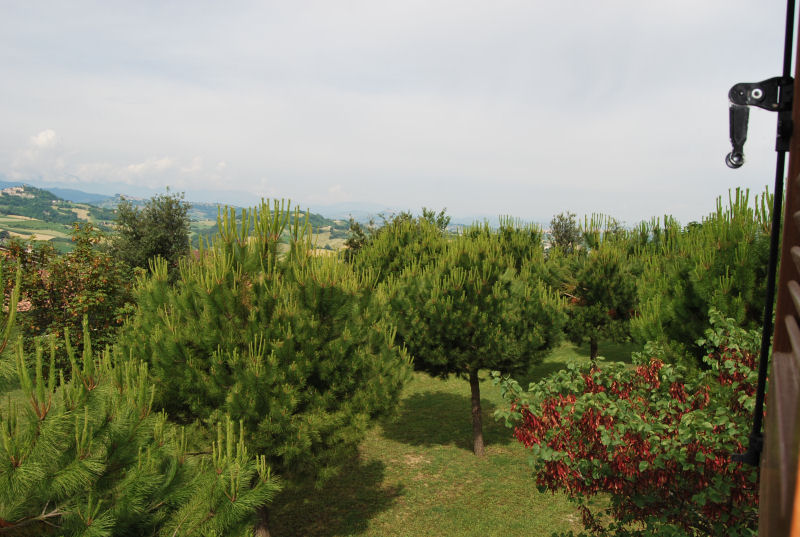 Town house in Monterinaldo