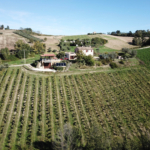 Country house with winery and and olive grove in the Aso Valley