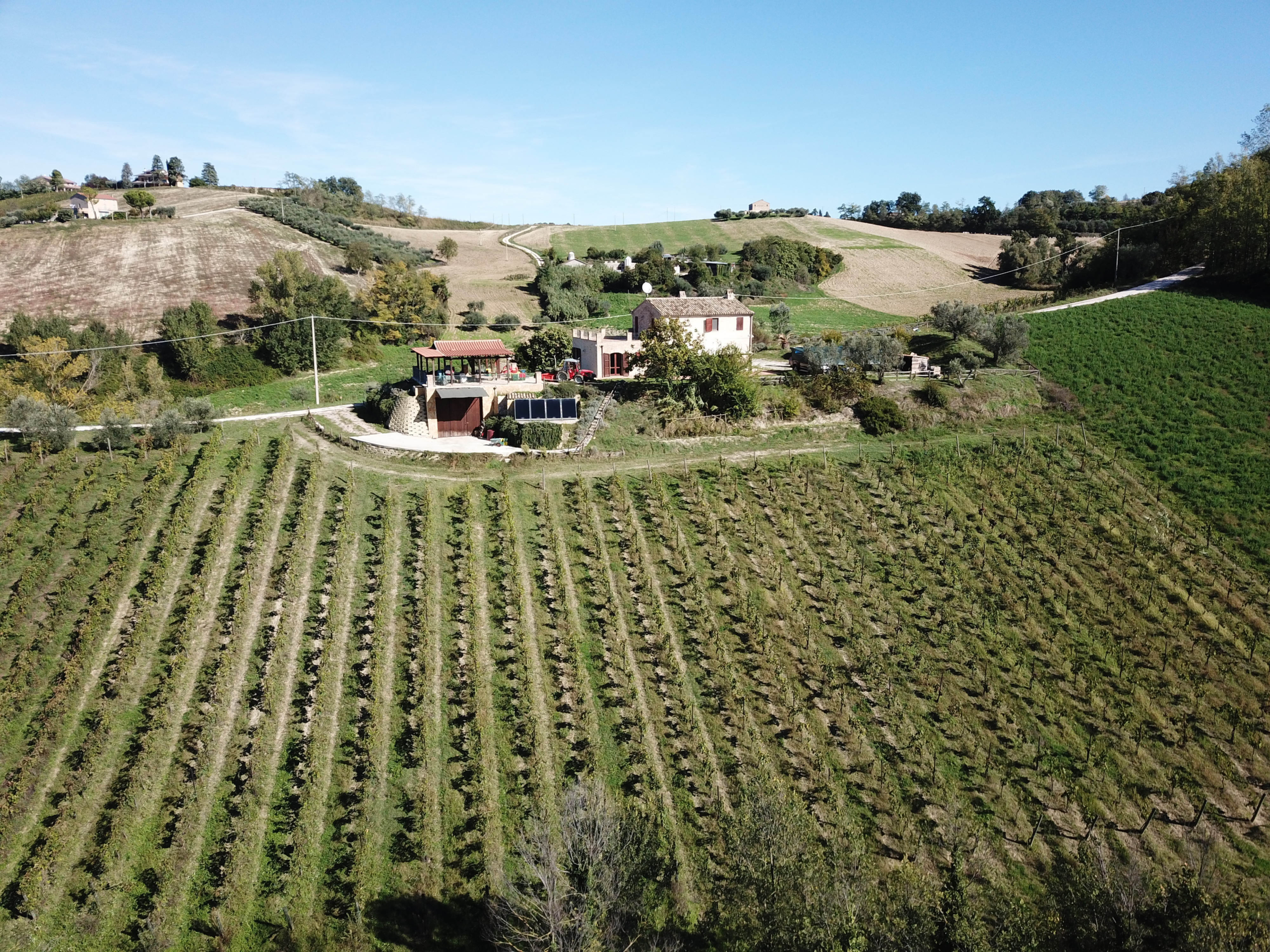 Country house with winery and and olive grove in the Aso Valley