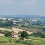 Country house with olive grove