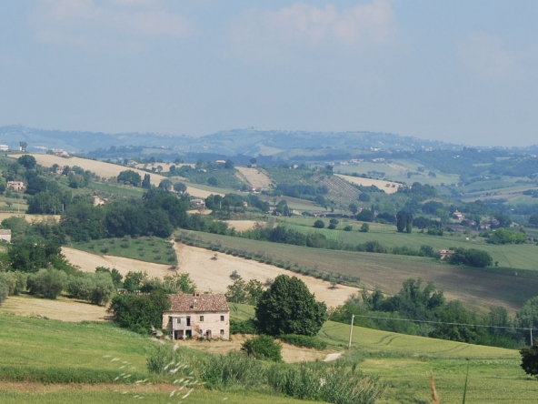 Country house with olive grove