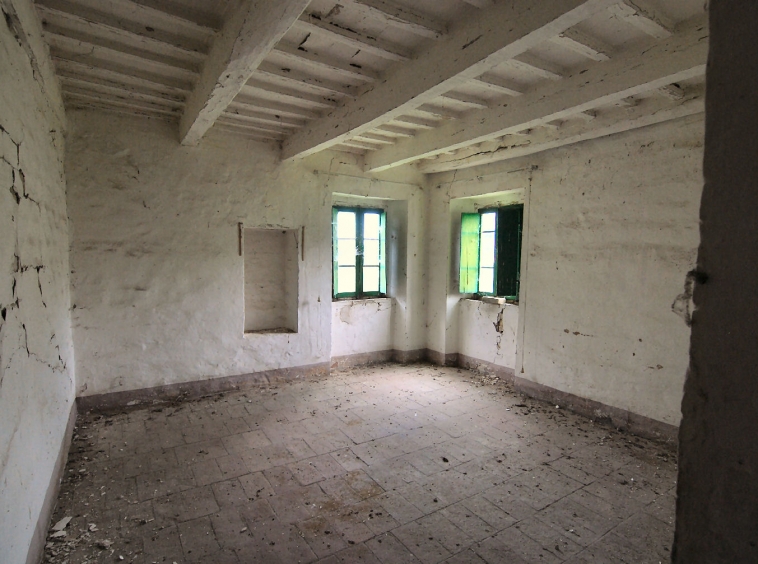 Country house with olive grove