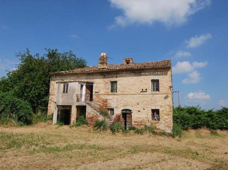 Country house with olive grove