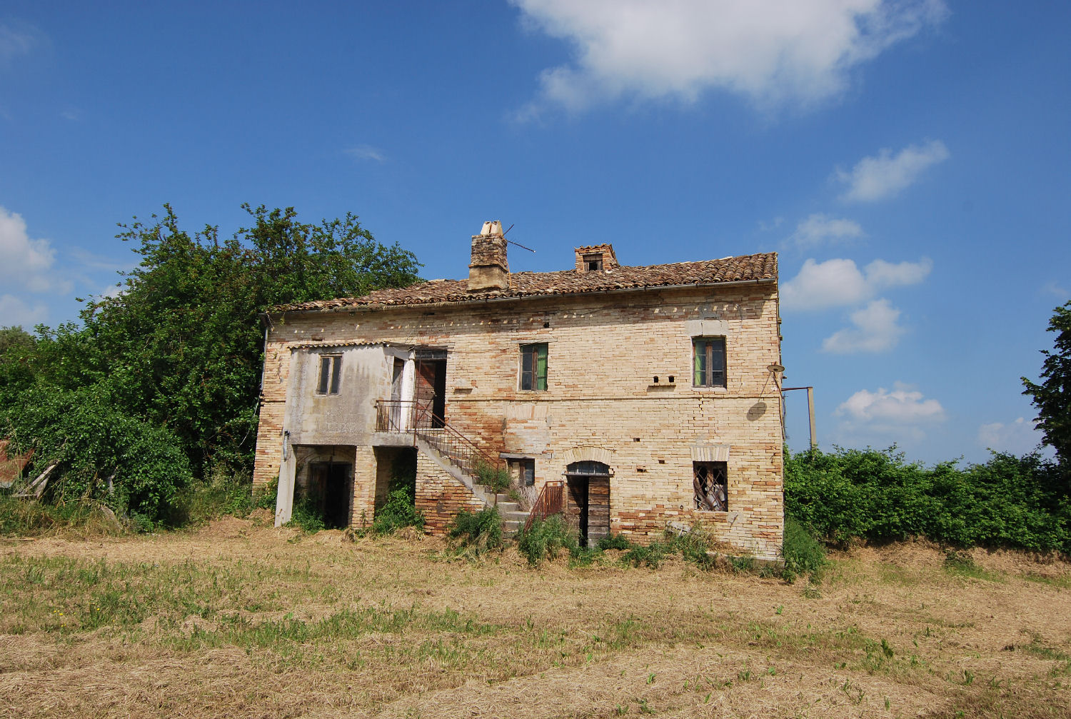 Country house with olive grove