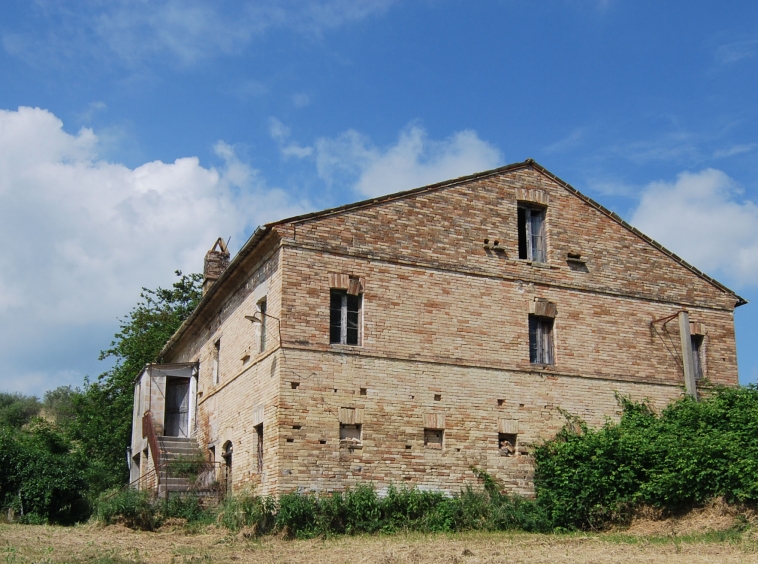 Country house with olive grove