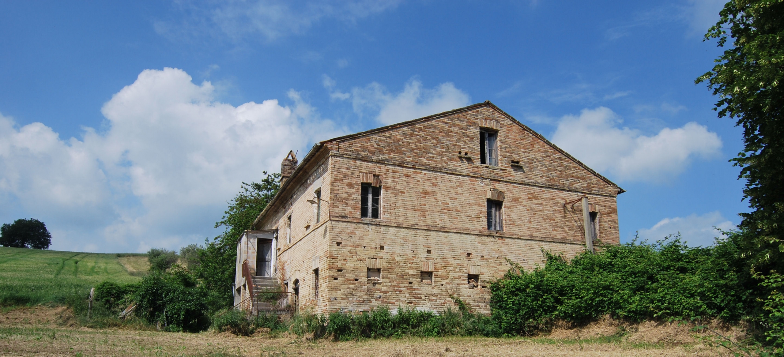 Country house with olive grove