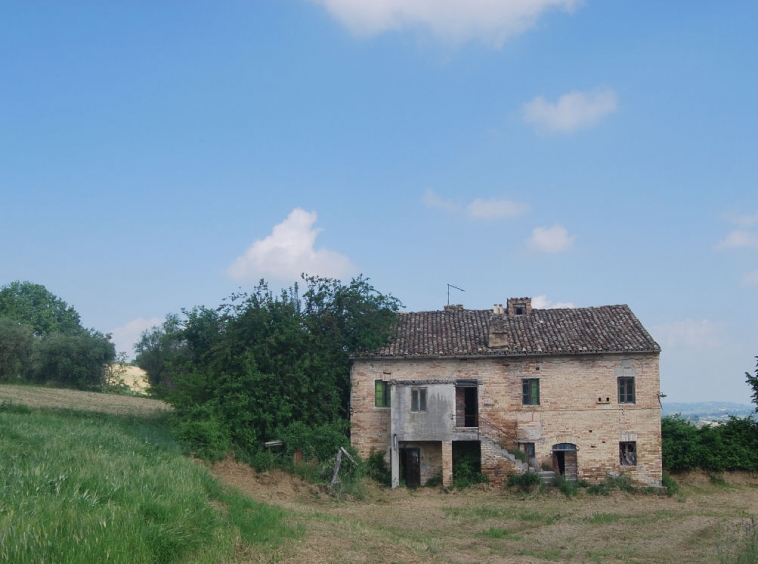 Country house with olive grove