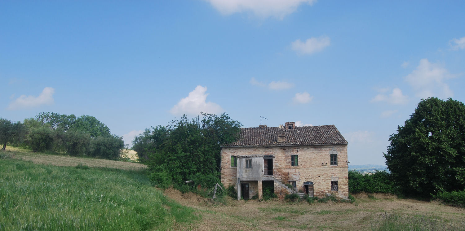 Country house with olive grove