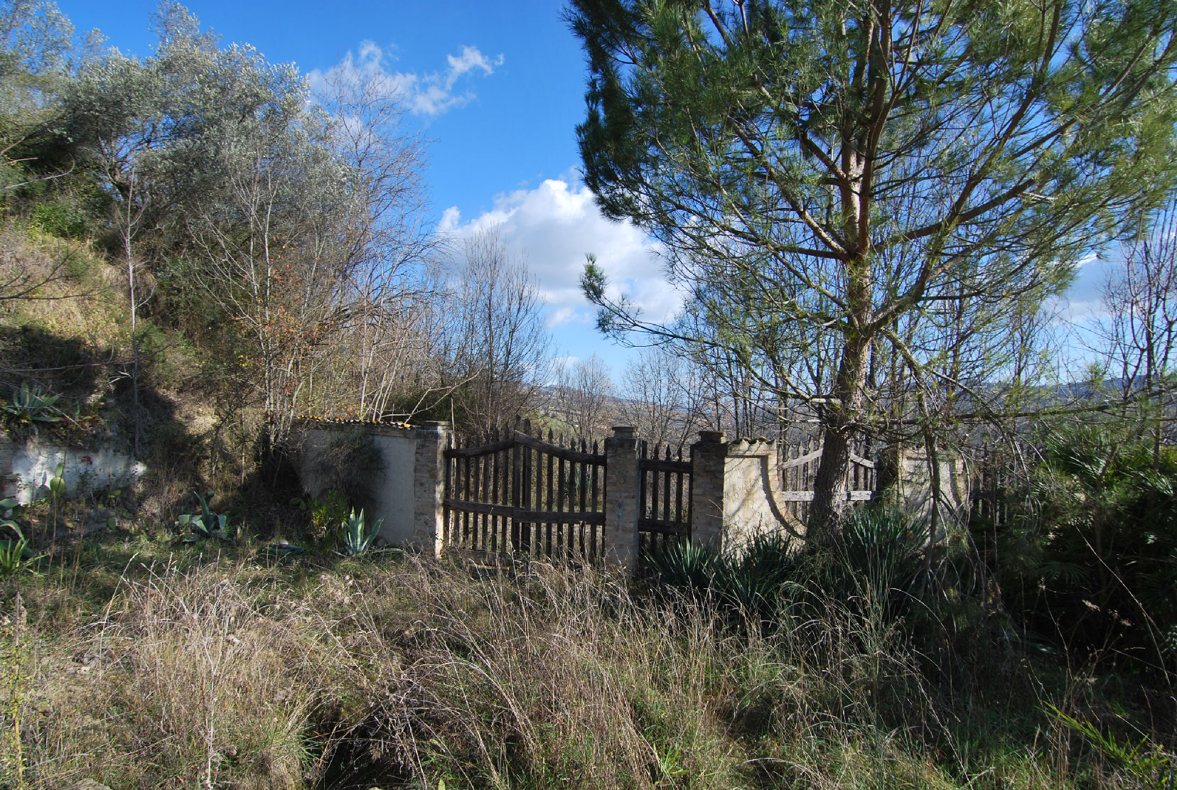 Country house in a dominant position near the Adriatic Coast S