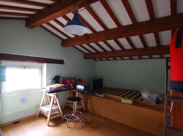 Townhouse with Terrace and fresco ceilings