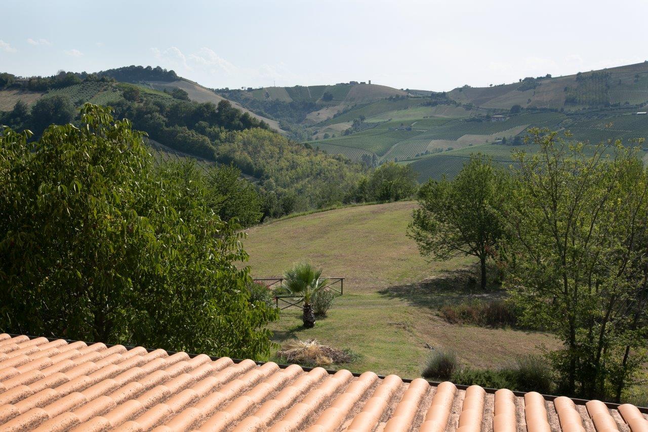 marche property