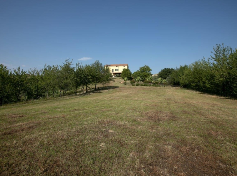 marche property