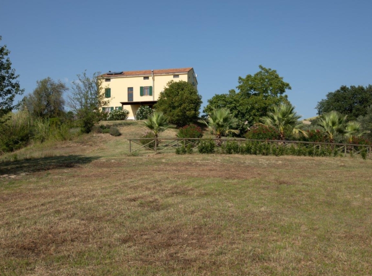 marche property