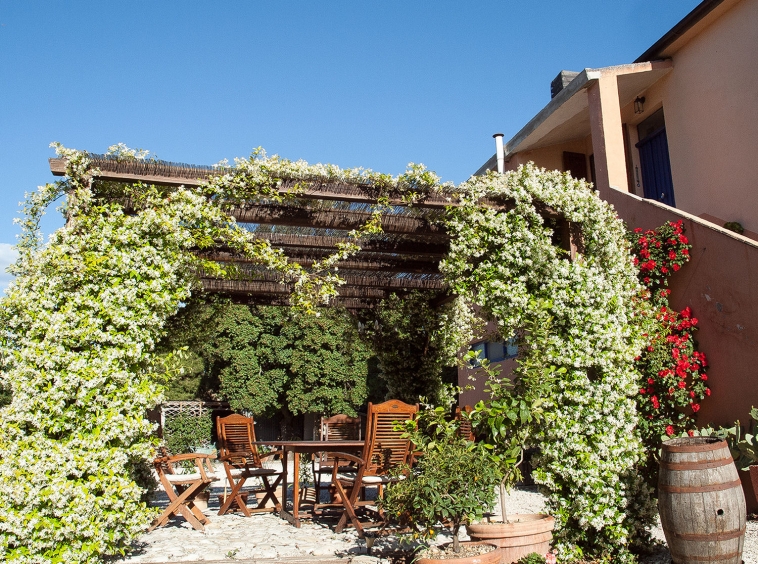 Agriturismo with campsite and organic farm.