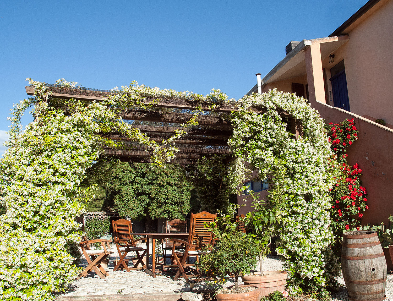 Agriturismo with campsite and organic farm.