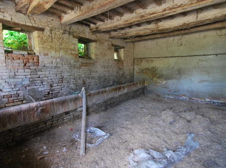 Country house with olive grove