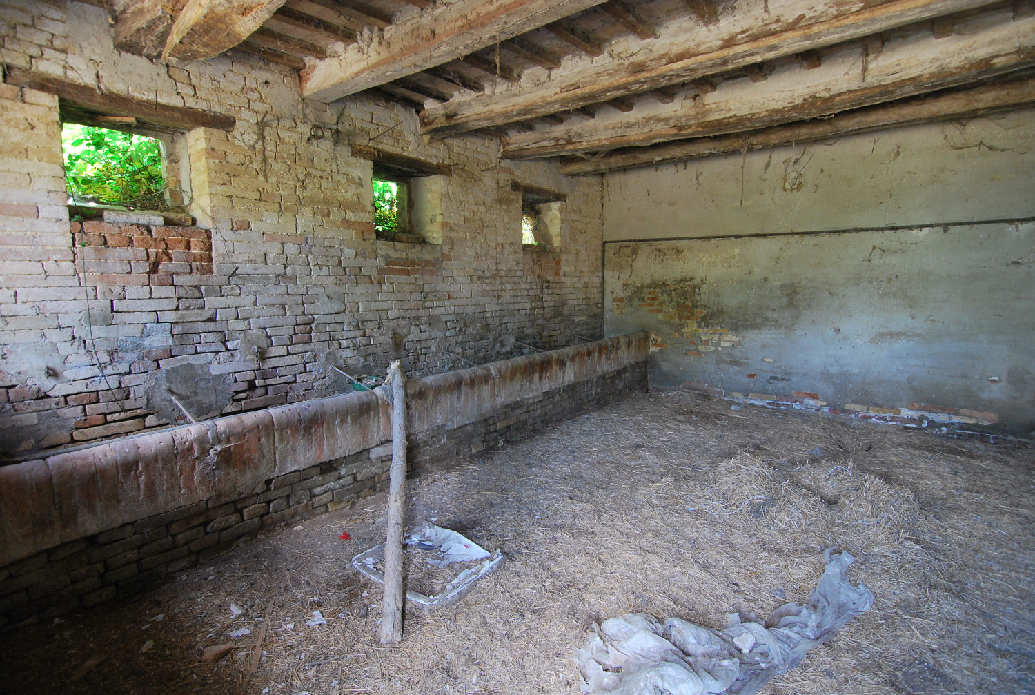 Country house with olive grove