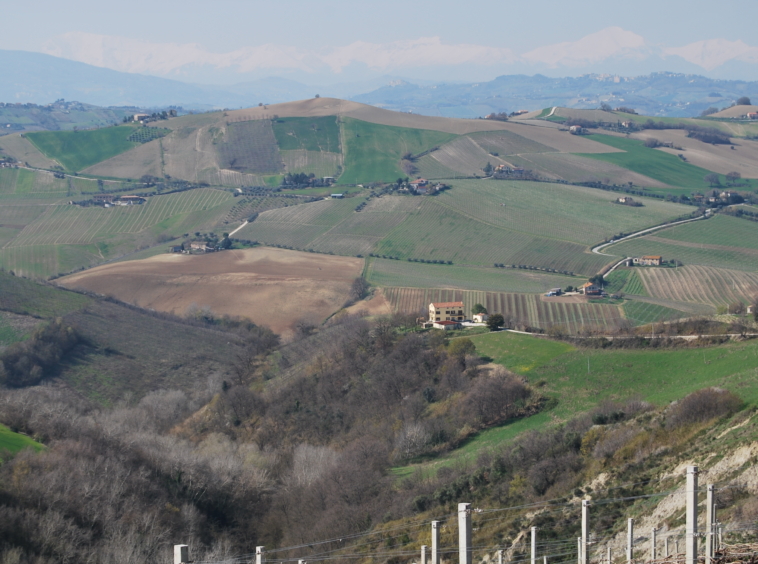 marche property